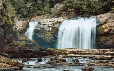 Cashflow freedom – The 7 causes of poor cashflow